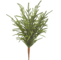 18in Soft Touch Norfolk Pine Pick