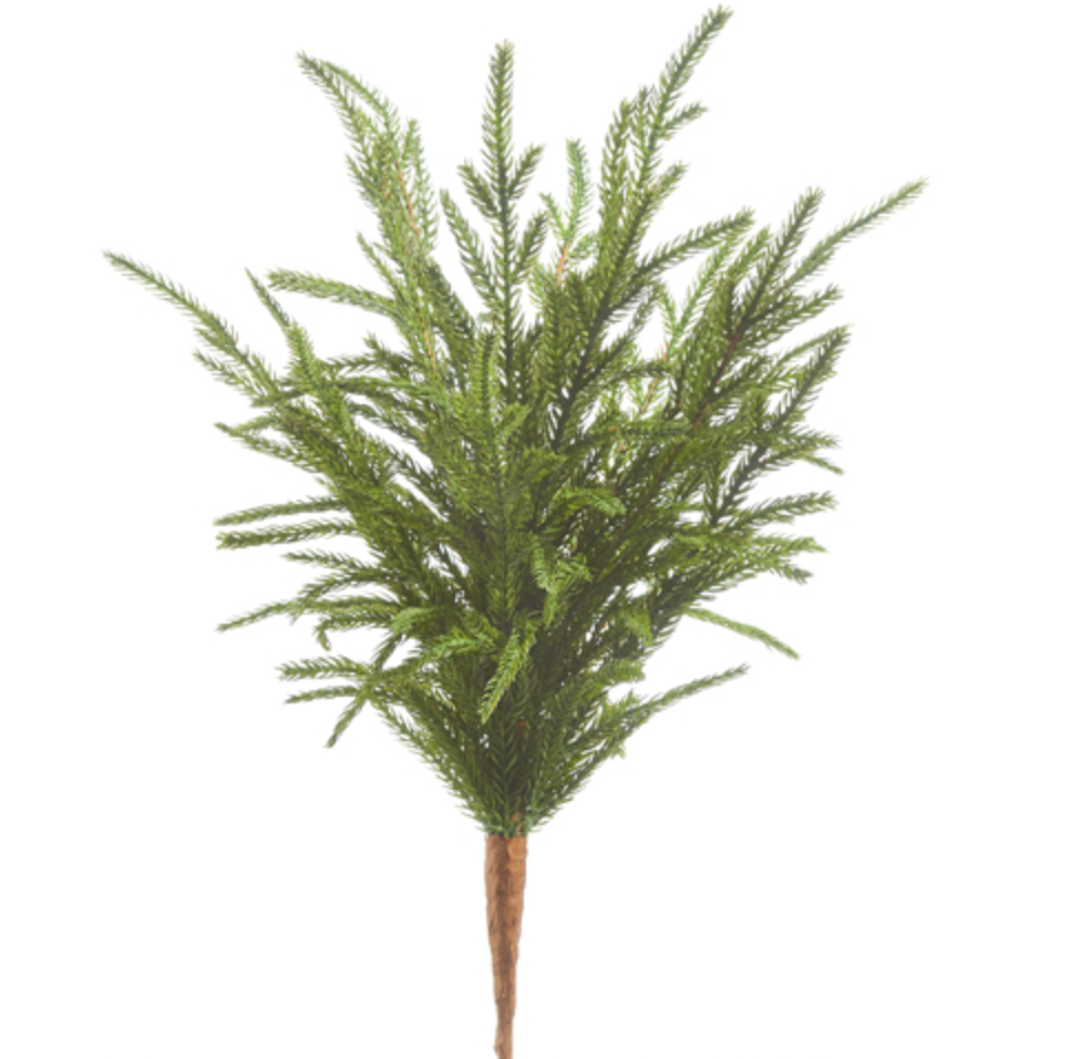 18in Soft Touch Norfolk Pine Pick