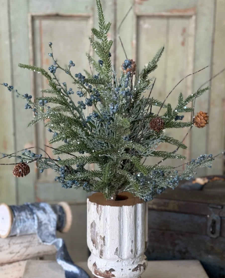 19.5in Bluehaven Cedar Bush