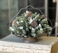 7in Snowy Pine 1/2 Sphere