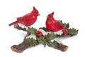 Cardinals on a Branch